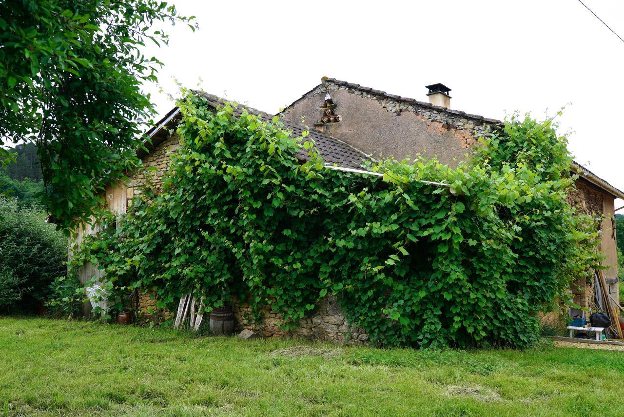 La Prairie Siorac-en-Périgord Exterior foto
